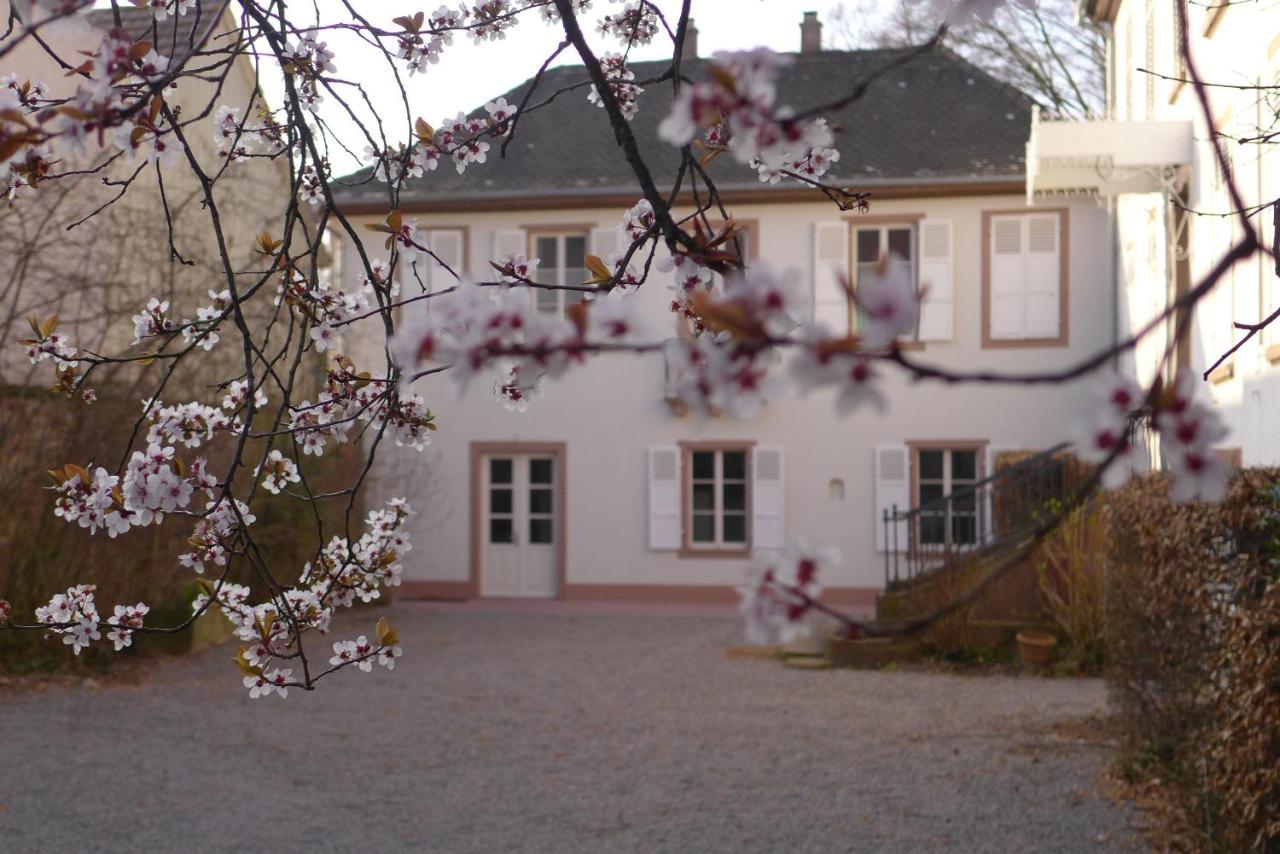La Maison Carre Wolxheim Buitenkant foto